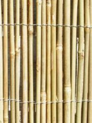 4 x1.2 m  Panel Enrollable de Cañas de Bambú de Papillon™​